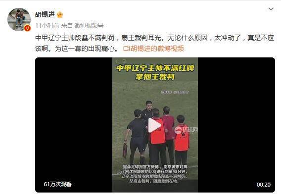 音乐老师的兔子可爱视频大全