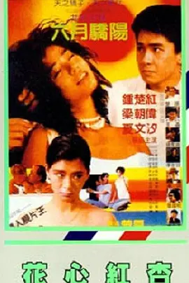 看片午夜