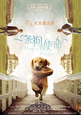 国产做受高潮动漫