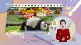 麻豆久久久久久久